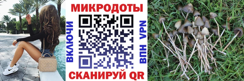 Купить закладки Барыш Псилоцибиновые грибы Magic Shrooms